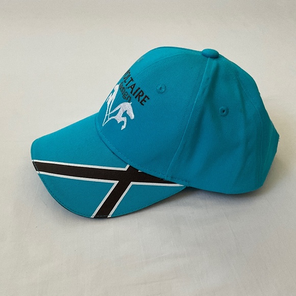 NWOT Voltaire Embroidered Cap Hat Blue - Picture 2 of 8